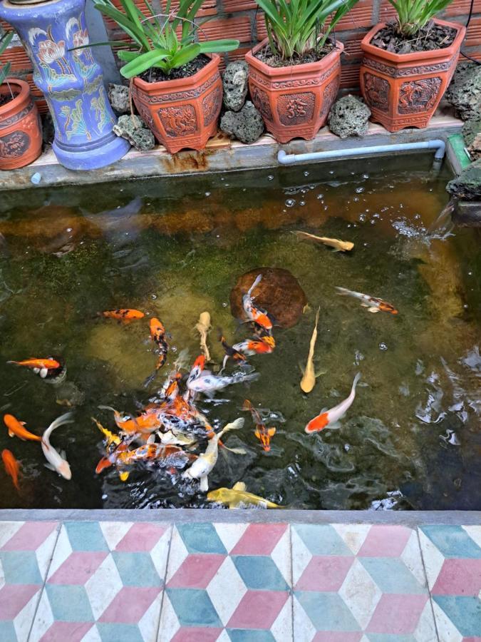 Giong Tu Dien Hoa Lan Motel & Homestay المظهر الخارجي الصورة